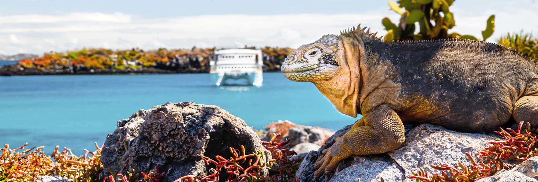 Inselhopping auf Galapagos